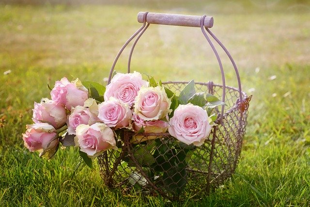 kovový drátěný košík s růžemi